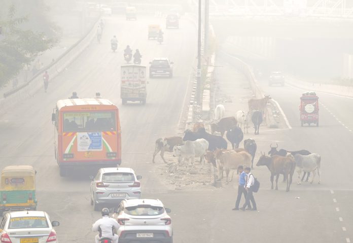 Delhi skyline obscured by pollution demonstrating poor air quality